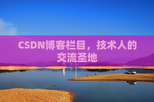CSDN博客栏目，技术人的交流圣地